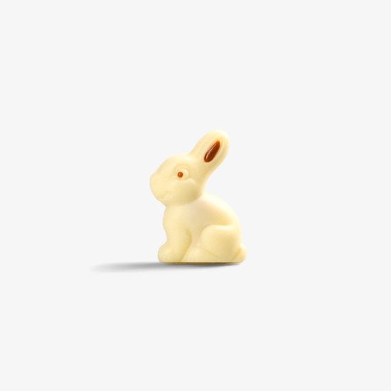 Piedmontese bunny White