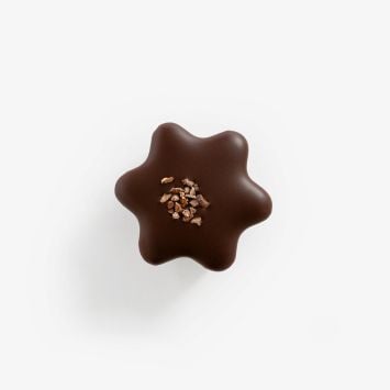 10106646_Praline_Single_Origin_Stern_01