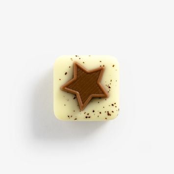 10106693_Praline_Lebkuchen_Carre_mit_Sternli__01