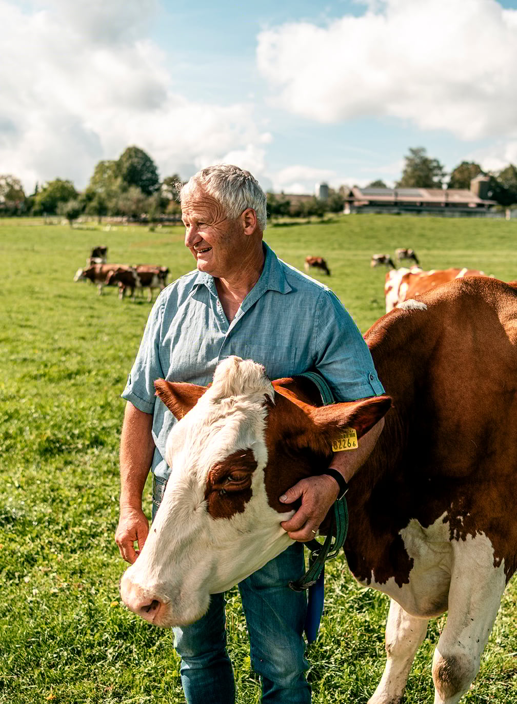 We also have our cows to thank for how beautiful Switzerland is - KR KO”, image size:1008x1372